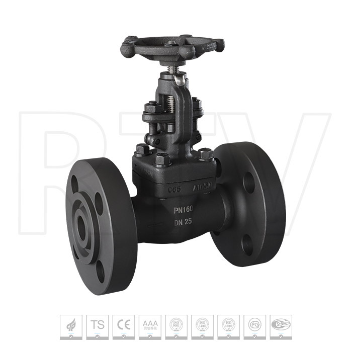 Forged steel flange globe valve