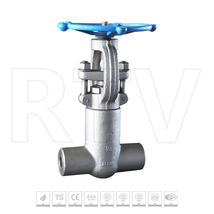 Forged steel self sealing socket welded gate valve