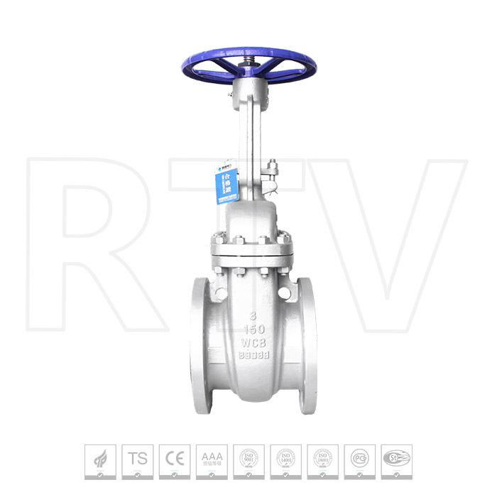 API flange gate valve