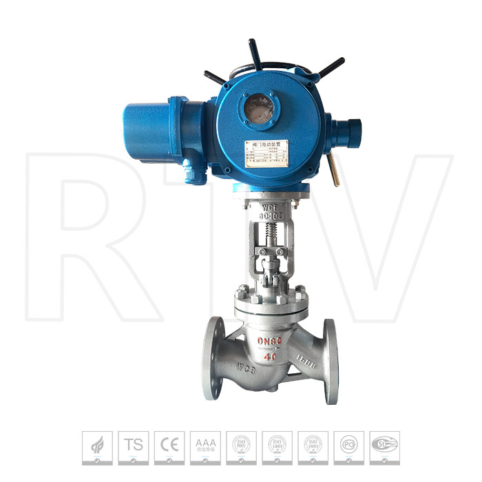 Electric globe valve