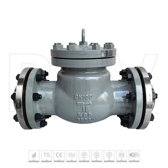 DIN-EN check valve