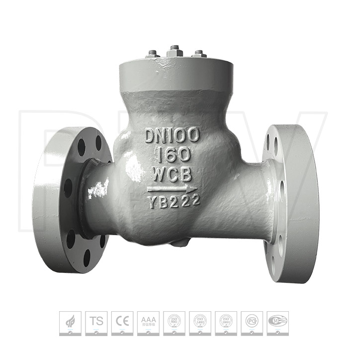 GOST check valve