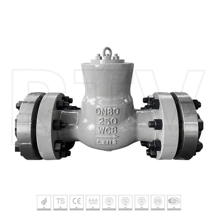 Rotating flange check valve