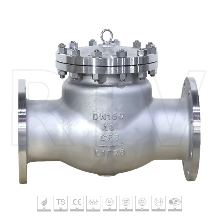 SS check valve