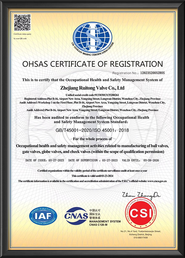 Occupational health and safety management system certification - English