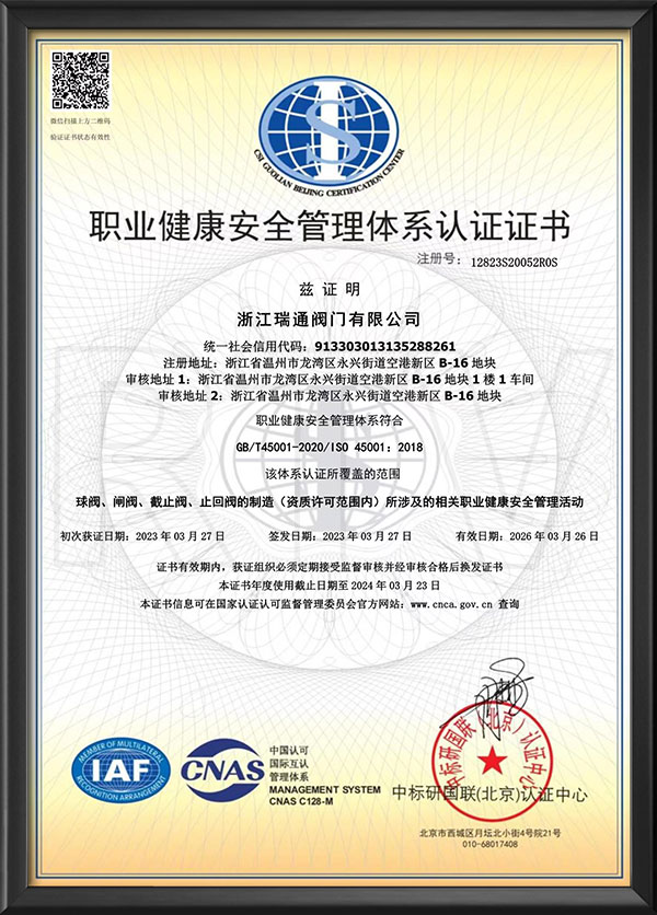 Occupational health and safety management system certification - Chinese