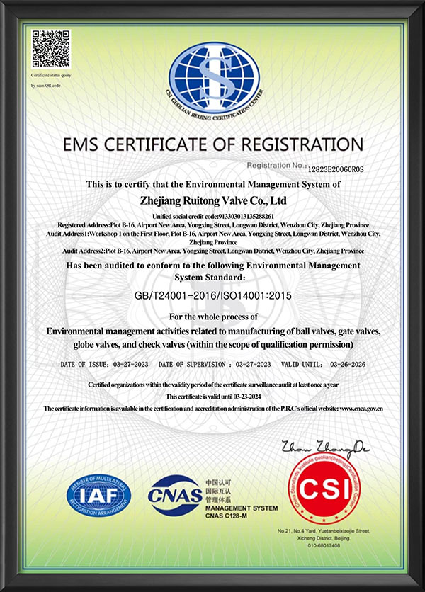 Environmental management system certification certificate - English