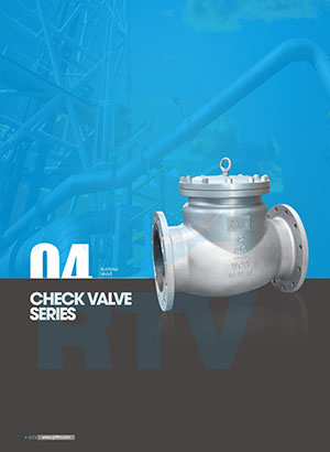 Check valve series 