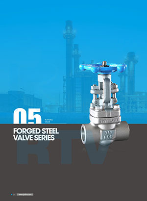 Forged steel valve series