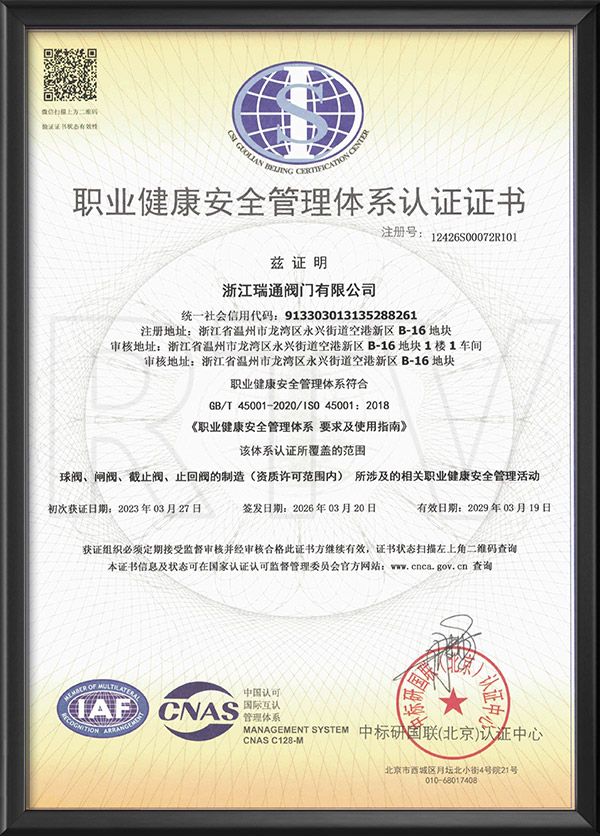 Occupational health and safety management system certification - Chinese