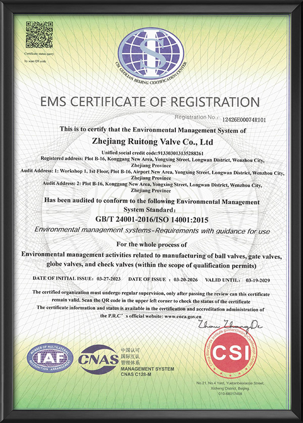 Environmental management system certification certificate - English