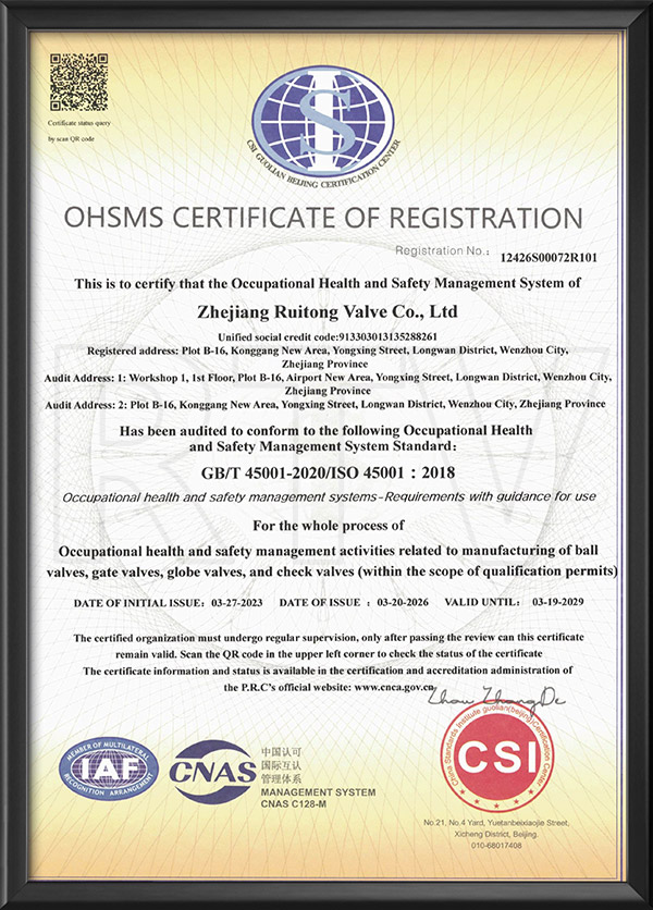 Occupational health and safety management system certification - English